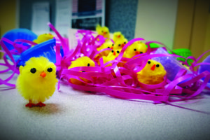 Little chicks (Easter)