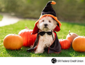 SRI Federal Credit Union is having a costume contest!