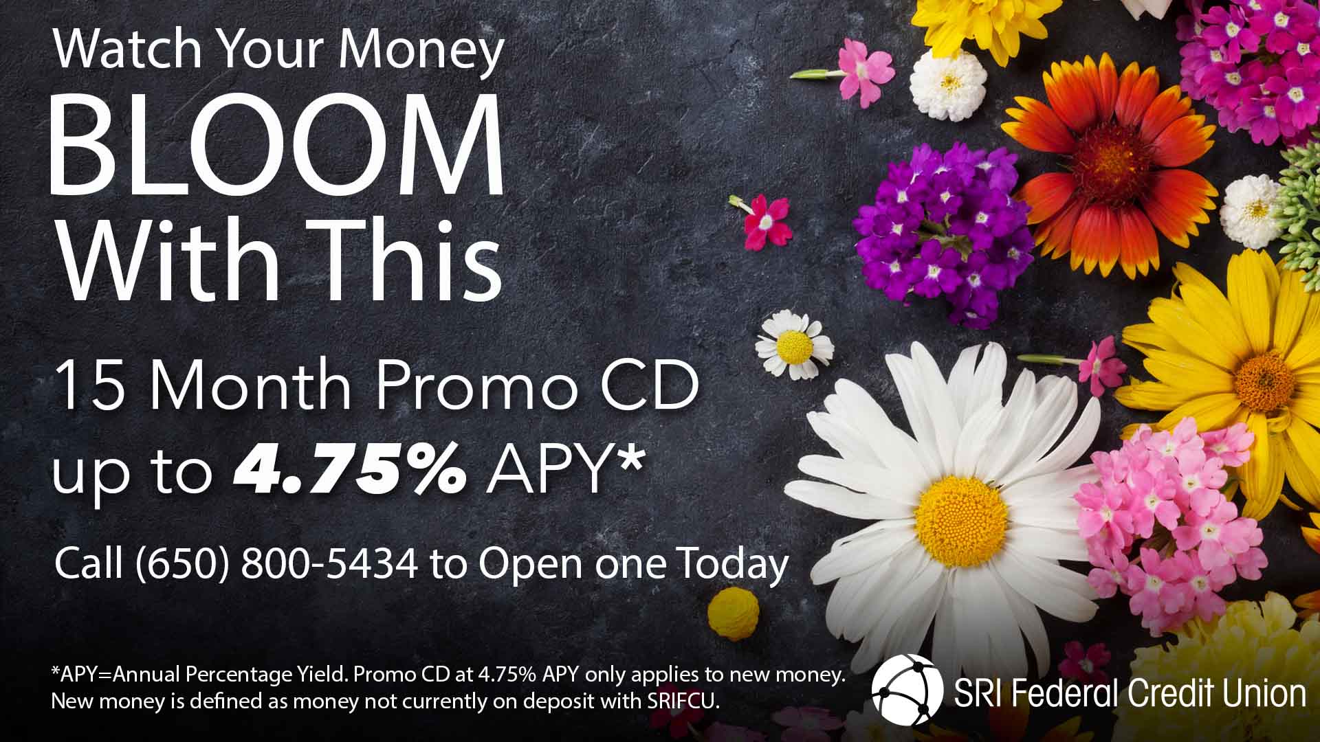 15 month Promo CD rate up to 4.75% APY, get yours today!